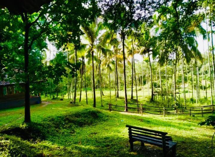 Royal Wooden Villa Mananthavady Exterior foto